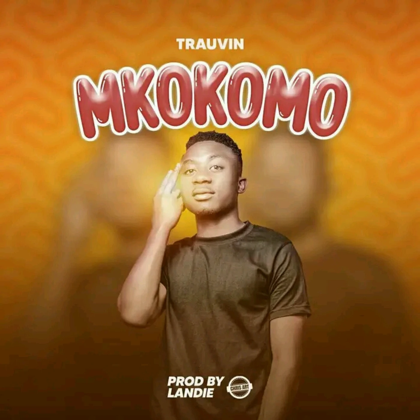 mkokomo-trauvin-Just Malawi Music